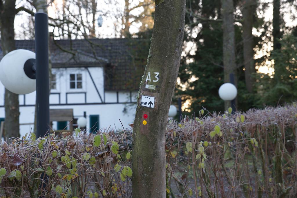 Waldhotel Wilhelmshoehe Freudenberg  Buitenkant foto